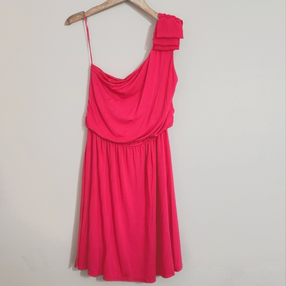 Express One-Shoulder Dress